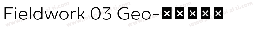 Fieldwork 03 Geo字体转换